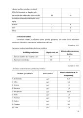 Ledų gamybos cechas 18 puslapis