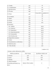 Ledų gamybos cechas 19 puslapis