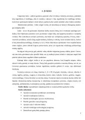 Ledų gamybos cechas 3 puslapis