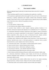 Ledų gamybos cechas 4 puslapis