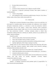 Ledų gamybos cechas 8 puslapis