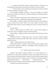 Ledų gamybos cechas 10 puslapis