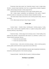Referatas. Finansai (bankininkystė, apskaita, draudimas, mokesčiai) 5 puslapis