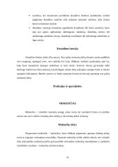 Referatas. Finansai (bankininkystė, apskaita, draudimas, mokesčiai) 8 puslapis