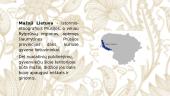 Pristatymas apie Mažosios Lietuvos gyventojus (Mažosios Lietuvos gyventojai) 2 puslapis
