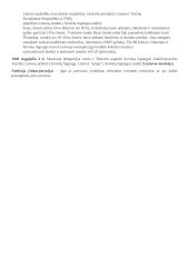 Lietuvos sovietizacija 2 puslapis