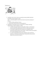 Lietuva ultimatumų apsuptyje 2 puslapis