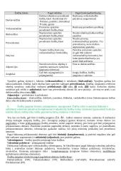 Jurgio Pakerio kalbotyros įvado konspektas 2 puslapis