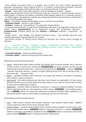 Jurgio Pakerio kalbotyros įvado konspektas 4 puslapis