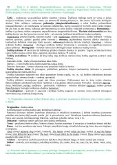 Jurgio Pakerio kalbotyros įvado konspektas 8 puslapis