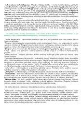 Jurgio Pakerio kalbotyros įvado konspektas 9 puslapis