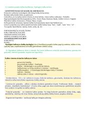 Jurgio Pakerio kalbotyros įvado konspektas 10 puslapis