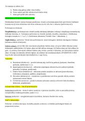 Leksikologijos įvado konspektas 11 puslapis