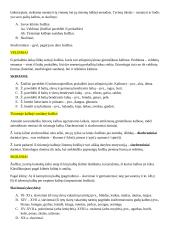 Leksikologijos įvado konspektas 13 puslapis