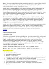 Leksikologijos įvado konspektas 15 puslapis