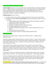 Leksikologijos įvado konspektas 17 puslapis