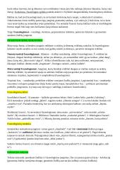 Leksikologijos įvado konspektas 18 puslapis