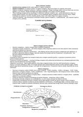 Psichologijos apibrėžimas 10 puslapis