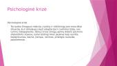 Krizių intervencija skaidrės 2 puslapis