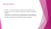 Krizių intervencija skaidrės 4 puslapis