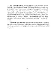 Akcinės bendrovės „Apple“ ir akcinės bendrovės „Samsung“ kaip socialiai atsakingos technologijų kompanijos  15 puslapis