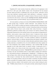 Akcinės bendrovės „Apple“ ir akcinės bendrovės „Samsung“ kaip socialiai atsakingos technologijų kompanijos  5 puslapis