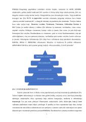 Akcinės bendrovės „Apple“ ir akcinės bendrovės „Samsung“ kaip socialiai atsakingos technologijų kompanijos  7 puslapis