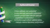 Antrininkės sakinio dalys: pažyminys 10 puslapis