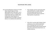Laisvo žmogaus laikysenos 2 puslapis