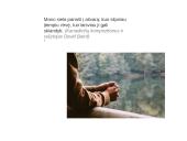 Laisvo žmogaus laikysenos 13 puslapis