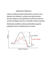 Eksplotacines medžiagos 10 puslapis