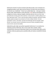 Kurie tautinės tapatybės ženklai Renesanso literatūroje svarbūs ir mūsų dienomis? 2 puslapis