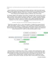 Jonas Chodkevičius 4 puslapis