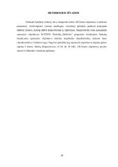 Stiprintuvo gamyba ir tyrimas 16 puslapis
