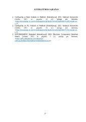 Stiprintuvo gamyba ir tyrimas 17 puslapis