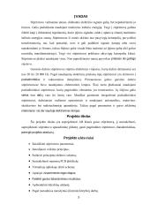 Stiprintuvo gamyba ir tyrimas 3 puslapis