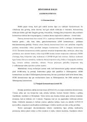 Europos Sąjungos atsakas į koronavirusą 6 puslapis