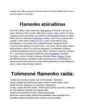Flamenko 2 puslapis