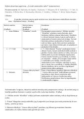 Atsakomybės tema atskleidžiama literatūroje
