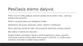 Eismo aplinka ir eismo dalyvis 6 puslapis