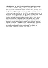 Lygiosios trunka akimirką. Kūrinio aprašymas 4 puslapis