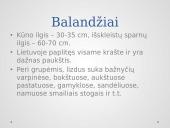 Žiemojantys paukščiai 4 puslapis