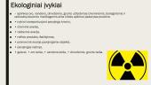 Ekstremalūs įvykiai 7 puslapis
