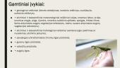 Ekstremalūs įvykiai 9 puslapis