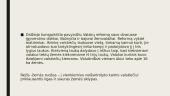 Valakų reforma skaidrės 5 puslapis