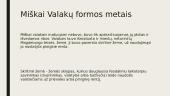 Valakų reforma skaidrės 7 puslapis