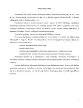 Gelžbetoninių konstrukcijų kursinis darbas 2 puslapis