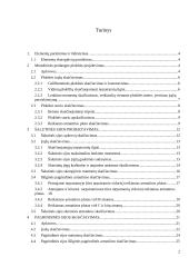 Sijinės gelžbetoninės monolitinės perdangos projektavimas 2 puslapis