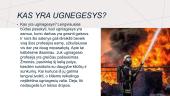 Gaisrininko profesija 6 puslapis