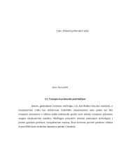 Transporto įmonės verslo plėtros planas 11 puslapis